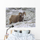 Jasper National Park, Alberta, Canada Wall Mural