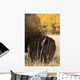 Buffalo Grazing Wall Mural