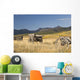 Old Wagons, Foothills, Alberta, Canada Wall Mural