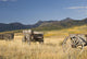 Old Wagons, Foothills, Alberta, Canada Wall Mural