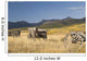 Old Wagons, Foothills, Alberta, Canada Wall Mural