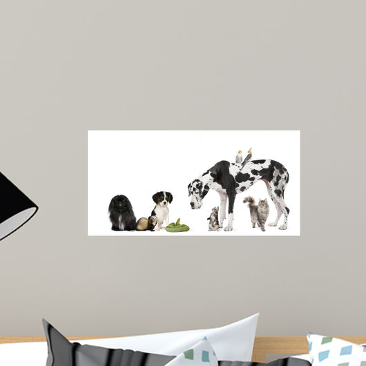 Pets Front White