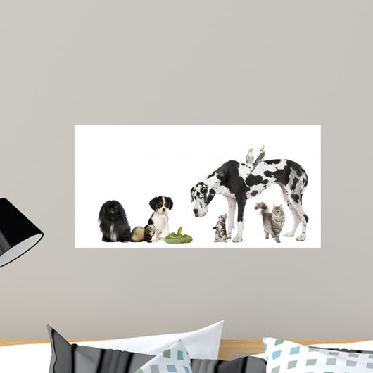 Pets Front White