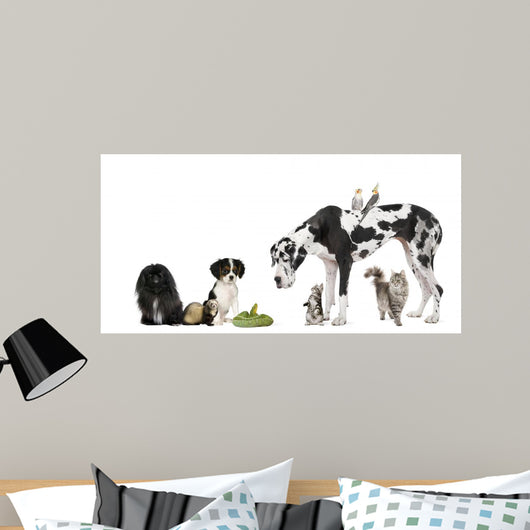 Pets Front White