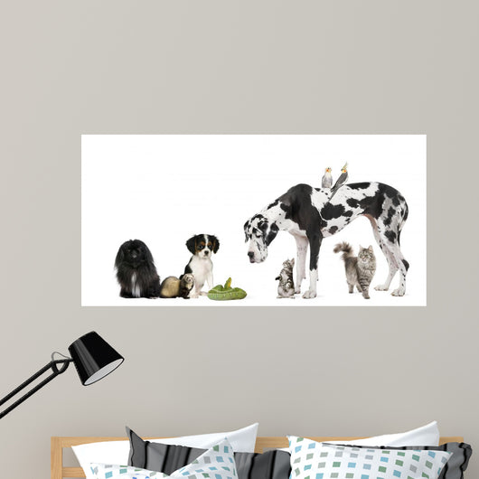 Pets Front White