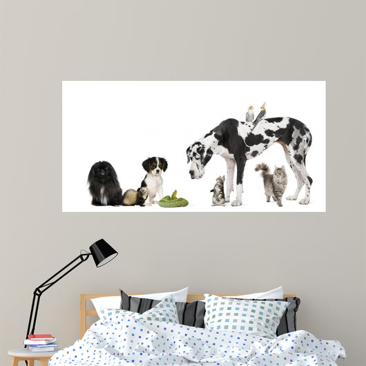 Pets Front White