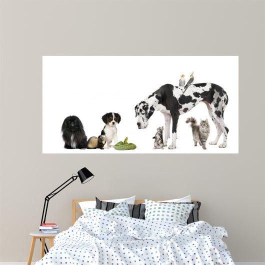 Pets Front White
