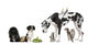 Pets Front White