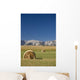Southern Alberta, Canada Wall Mural