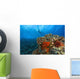 Molokini Crater, South Maui, Hawaii, Usa Wall Mural