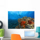 Molokini Crater, South Maui, Hawaii, Usa Wall Mural