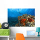 Molokini Crater, South Maui, Hawaii, Usa Wall Mural