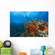 Molokini Crater, South Maui, Hawaii, Usa Wall Mural