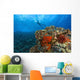 Molokini Crater, South Maui, Hawaii, Usa Wall Mural
