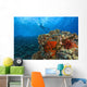 Molokini Crater, South Maui, Hawaii, Usa Wall Mural