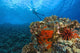 Molokini Crater, South Maui, Hawaii, Usa Wall Mural