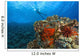 Molokini Crater, South Maui, Hawaii, Usa Wall Mural