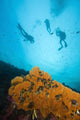 Southeast Asia Wall Mural