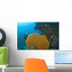 Similan Islands Underwater Park, Thailand, Southeast Asia Wall Mural