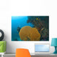 Similan Islands Underwater Park, Thailand, Southeast Asia Wall Mural