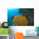 Similan Islands Underwater Park, Thailand, Southeast Asia Wall Mural