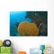 Similan Islands Underwater Park, Thailand, Southeast Asia Wall Mural