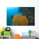Similan Islands Underwater Park, Thailand, Southeast Asia Wall Mural