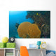 Similan Islands Underwater Park, Thailand, Southeast Asia Wall Mural