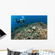 Similan Islands Thailand Wall Mural