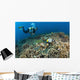 Similan Islands Thailand Wall Mural