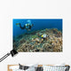 Similan Islands Thailand Wall Mural