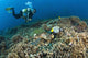 Similan Islands Thailand Wall Mural