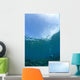 Apo Island Marine Park, Philippines, Southeast Asia Wall Mural