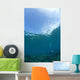 Apo Island Marine Park, Philippines, Southeast Asia Wall Mural