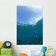 Apo Island Marine Park, Philippines, Southeast Asia Wall Mural