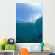 Apo Island Marine Park, Philippines, Southeast Asia Wall Mural