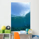 Apo Island Marine Park, Philippines, Southeast Asia Wall Mural