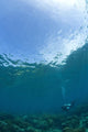 Apo Island Marine Park, Philippines, Southeast Asia Wall Mural