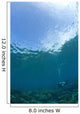 Apo Island Marine Park, Philippines, Southeast Asia Wall Mural