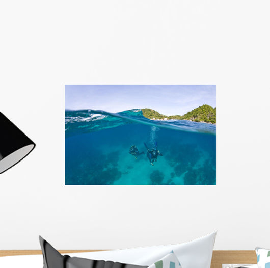 Apo Island Marine Park Negros Oriental Island Wall Mural