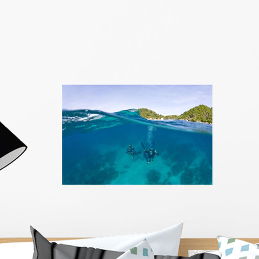 Apo Island Marine Park Negros Oriental Island Wall Mural