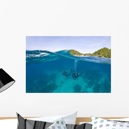 Apo Island Marine Park Negros Oriental Island Wall Mural