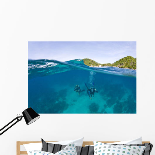 Apo Island Marine Park Negros Oriental Island Wall Mural