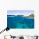 Apo Island Marine Park Negros Oriental Island Wall Mural