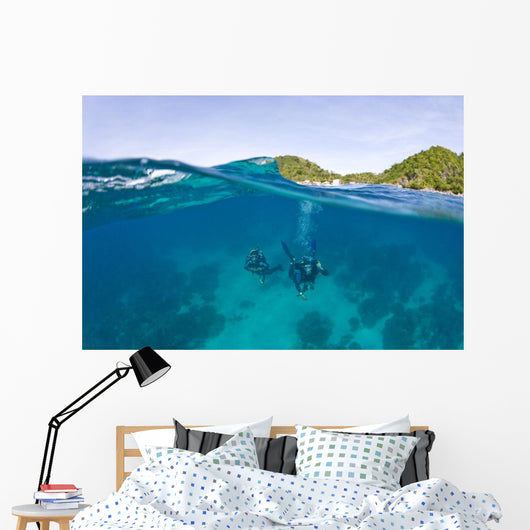 Apo Island Marine Park Negros Oriental Island Wall Mural