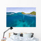 Apo Island Marine Park Negros Oriental Island Wall Mural