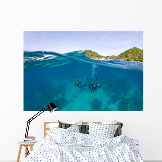 Apo Island Marine Park Negros Oriental Island Wall Mural