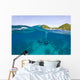 Apo Island Marine Park Negros Oriental Island Wall Mural