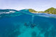 Apo Island Marine Park Negros Oriental Island Wall Mural