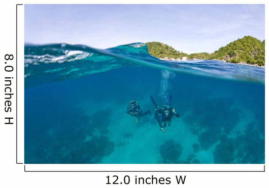 Apo Island Marine Park Negros Oriental Island Wall Mural